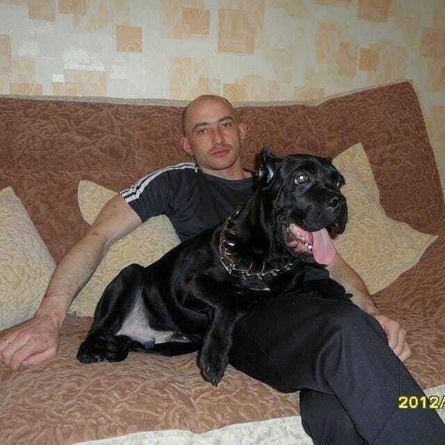  ,   , 44 ,   ,   , c 