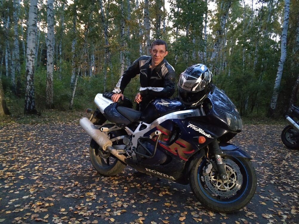 ���� 19123558 ������� Adius2009, 46 ���, ���� ���������� � �����