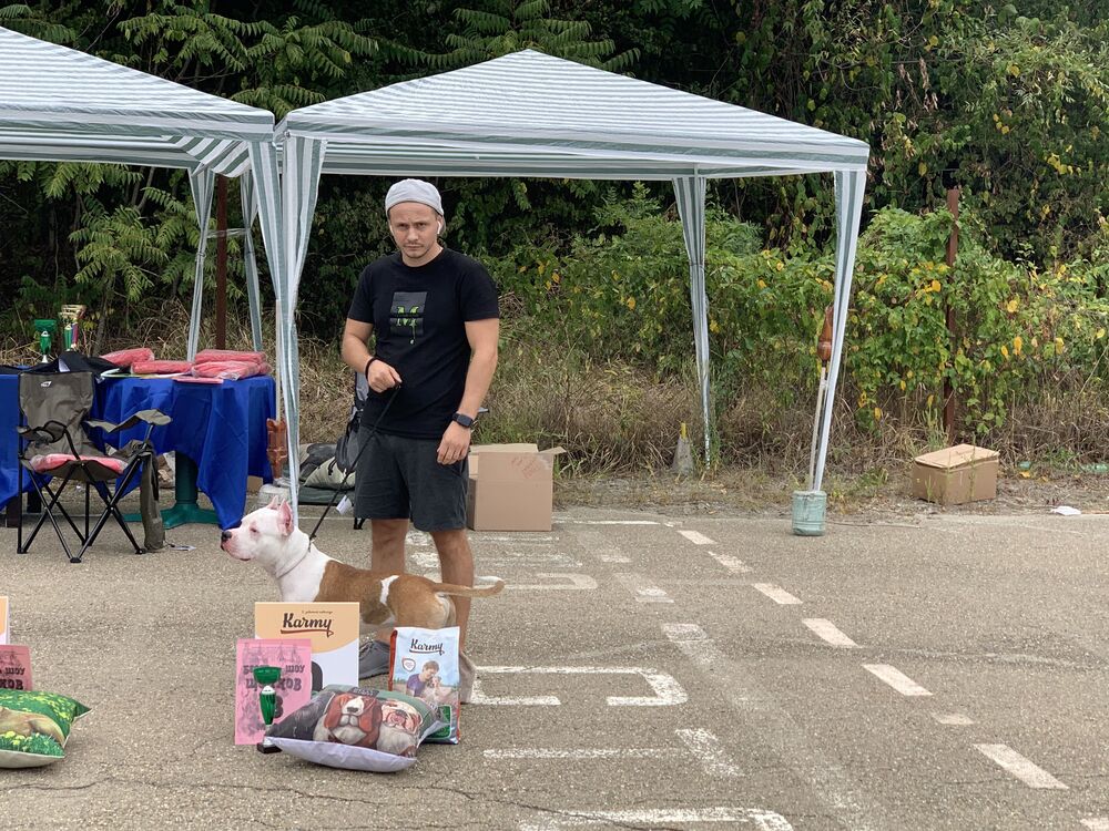 ���������� ���������, ���� ������� ��������, 35 ���, ������������ ��� ������, ����� � ���������