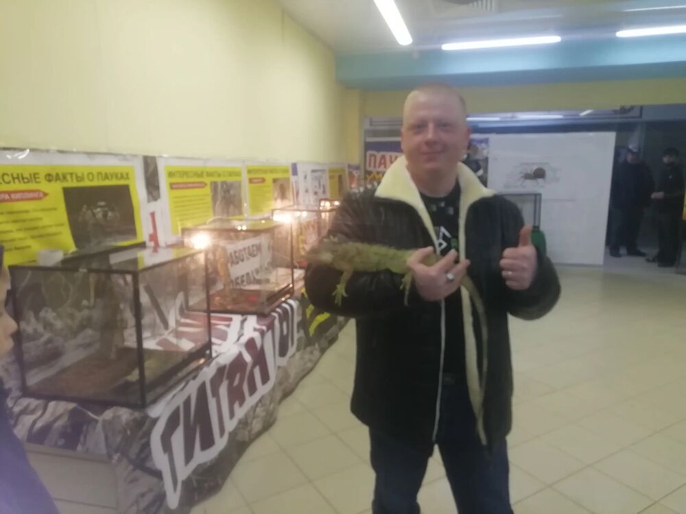  ,   Sergey, 35 ,     , c , 