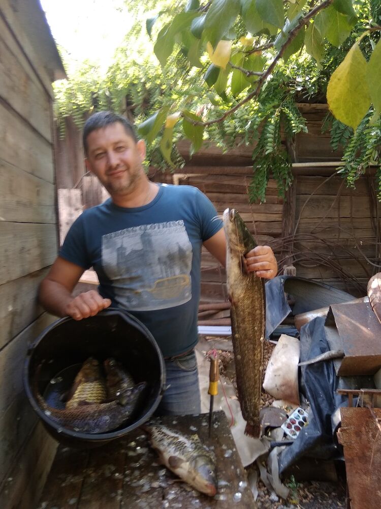  15914948  Evgeniy, 46 ,    