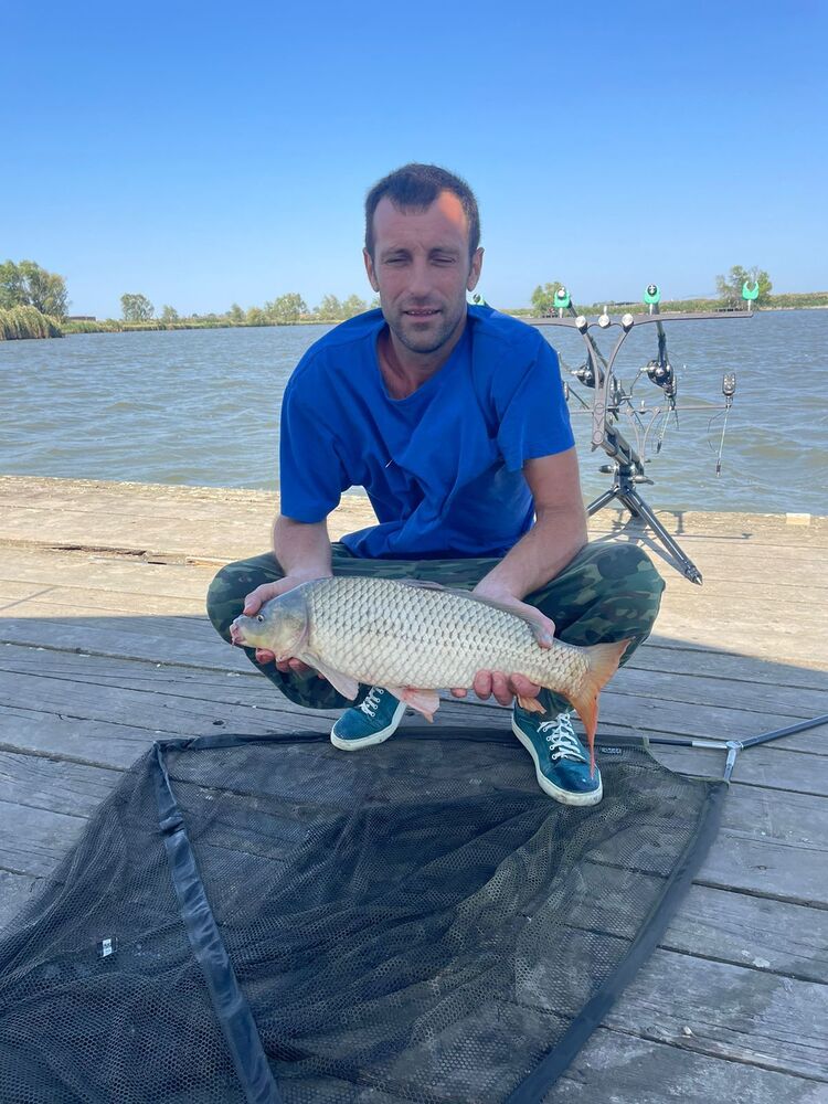 ���� 46506998 ������� ������, 37 ���, ���� ���������� � ����������