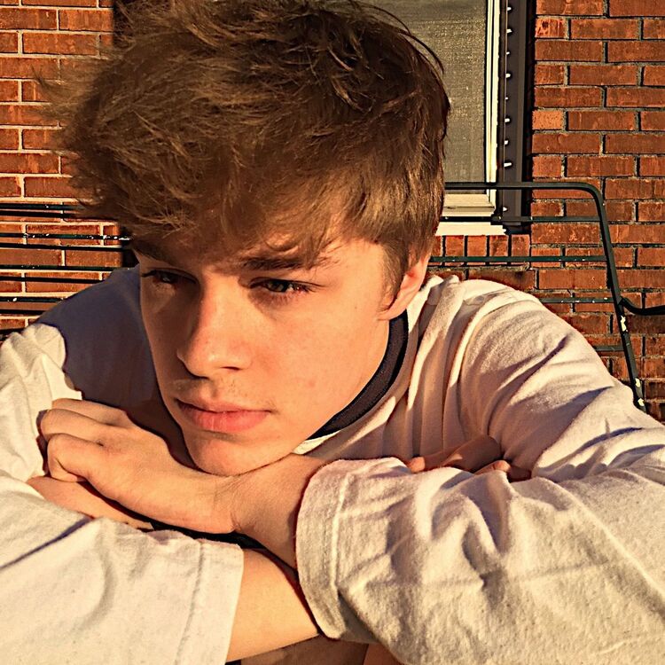 ���� 40282168 ����� �����, 20 ���, ���� ���������� � ������