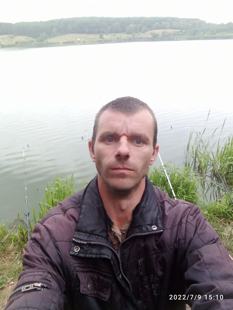  31360668  , 38 ,    