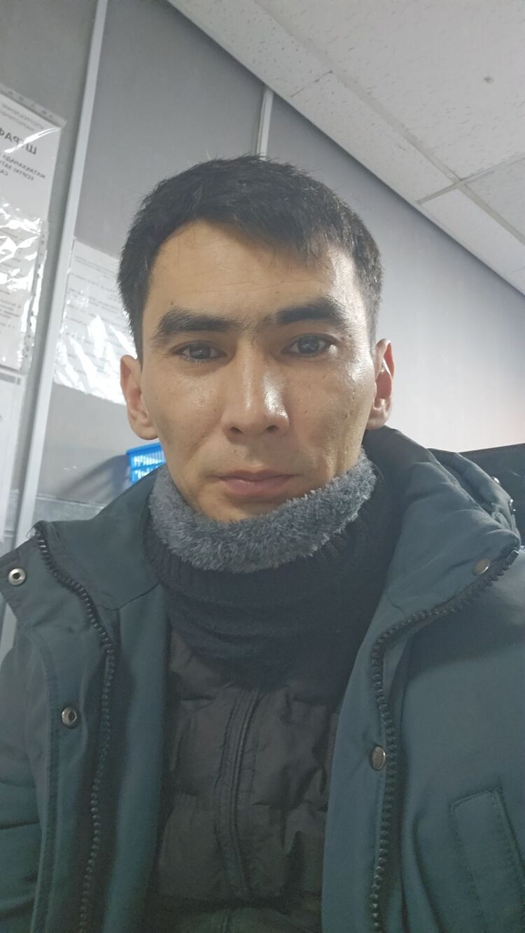 ���� 55680998 ������� ������, 33 ����, ���� ���������� � ��������