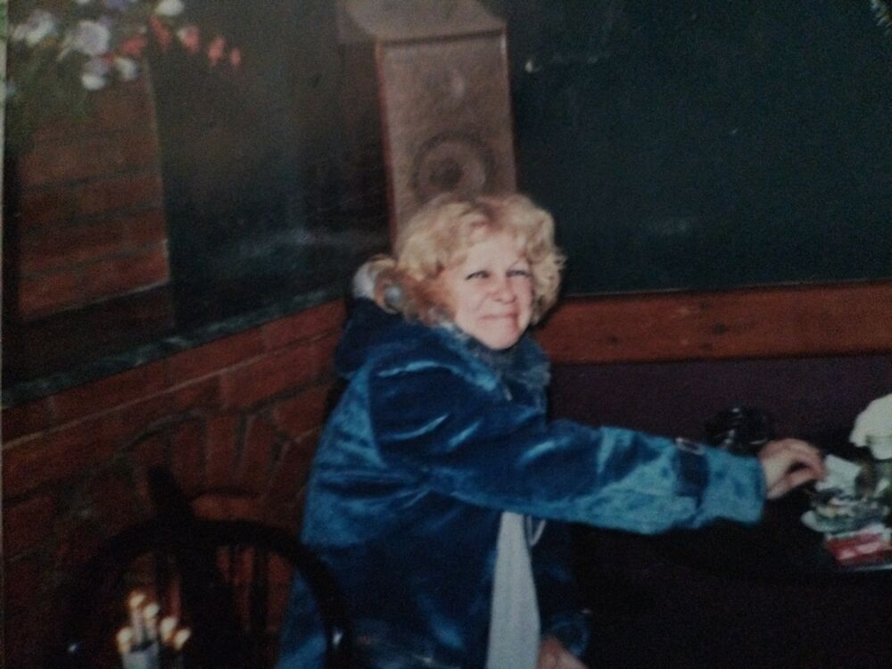  54520938  , 48 ,    -