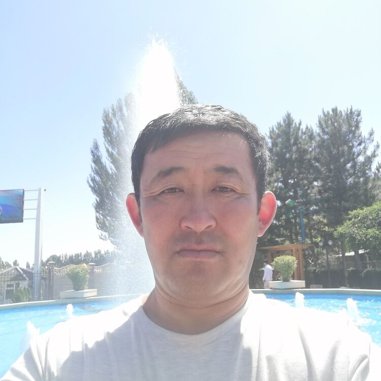 ���� 25297668 ������� ��������, 48 ���, ���� ���������� � �������