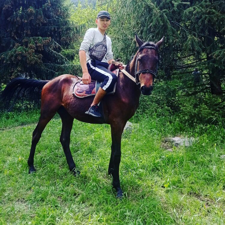 ���� 26866098 ����� ������, 21 ���, ���� ���������� � �������