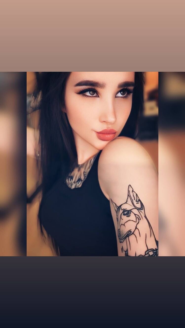  51606818  , 25 ,    