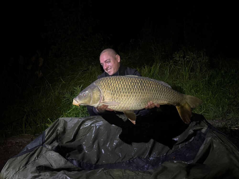 ���� 53589068 ������� �����, 40 ���, ���� ���������� � ��������