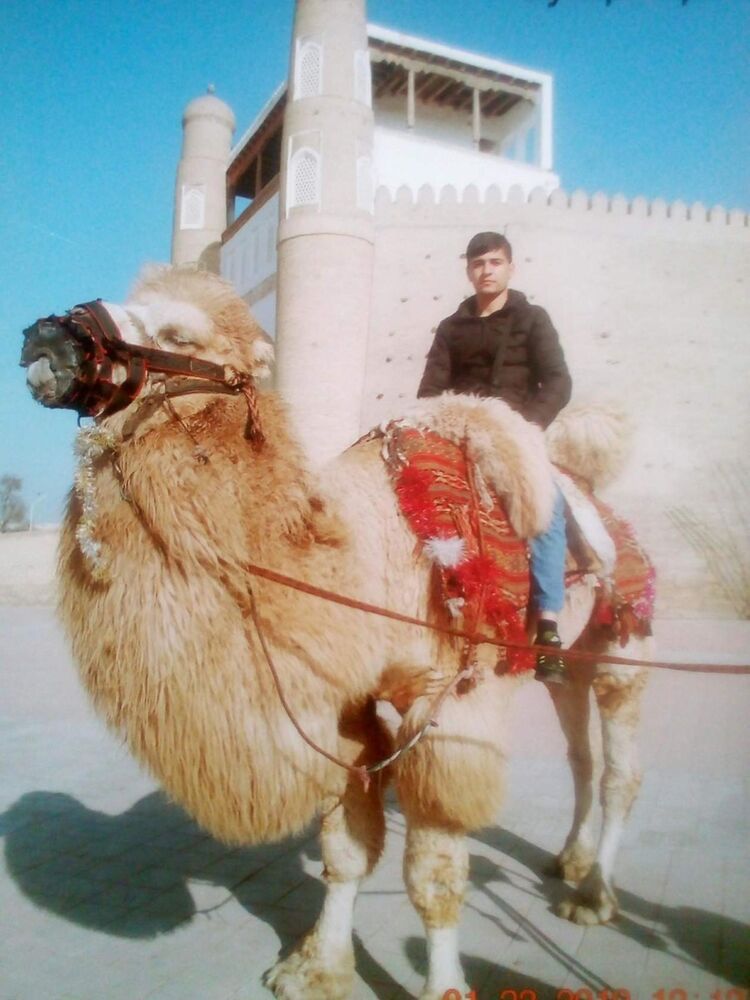 ���� 16511148 ������� �����, 32 ����, ���� ���������� � �����-����������