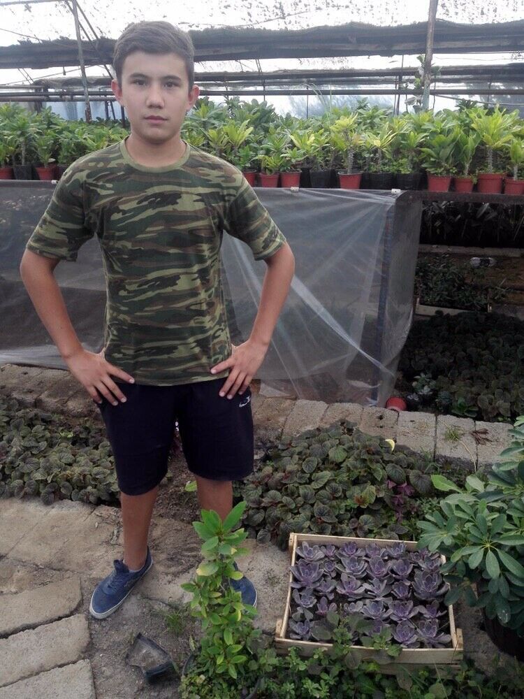 ���� 19919458 ����� ����, 23 ����, ���� ���������� � ��������