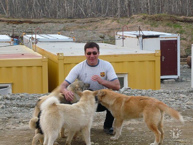 ���������� �������, ���� ������� ����, 52 ����, ������������ ��� ������, ����� � ���������