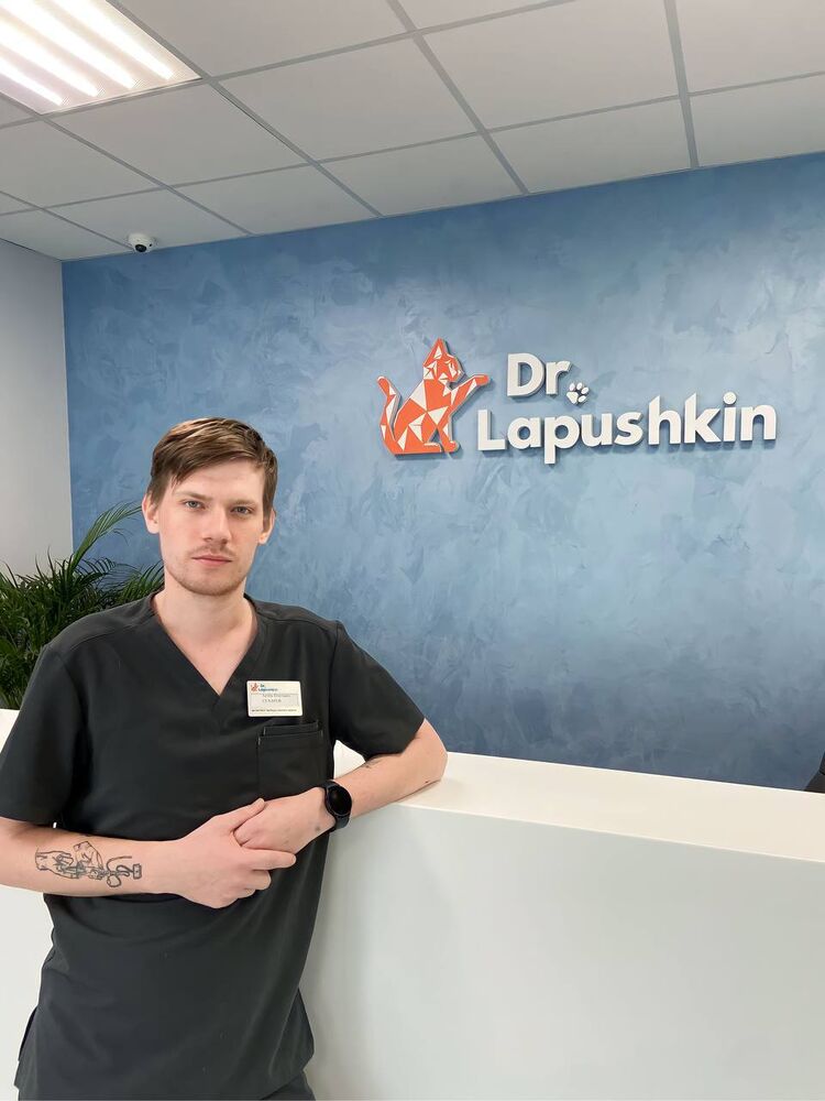 ���� 37843738 ������� ����, 30 ���, ���� ���������� � ������