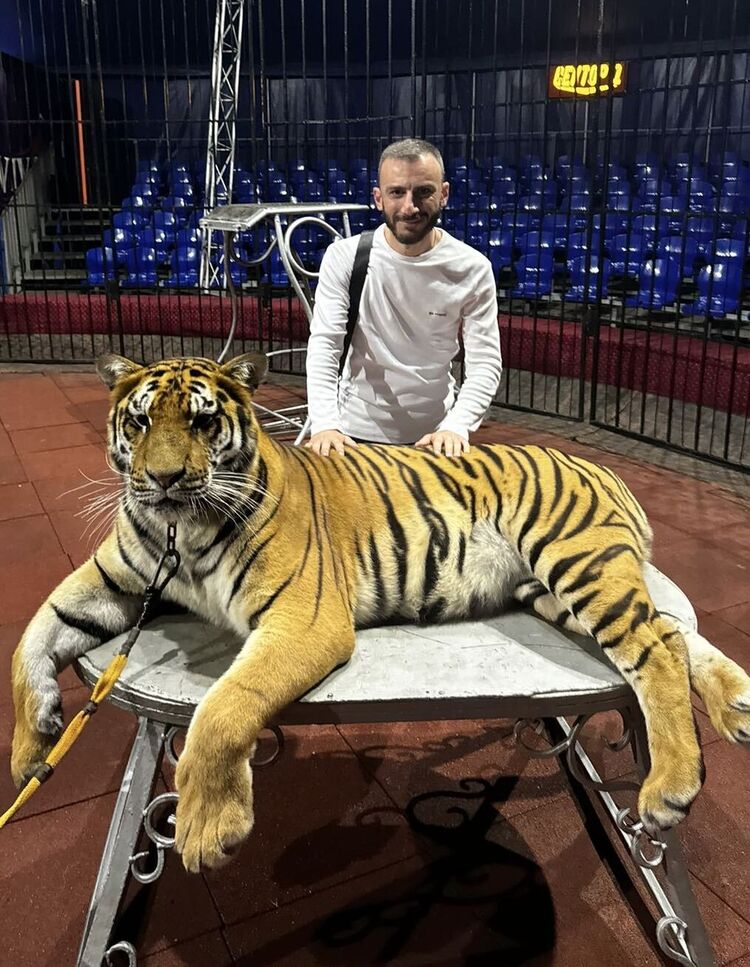 ���������� �����������, ���� ������� �����, 39 ���, ������������ ��� ������, ����� � ���������, c�������� ���������, ���������