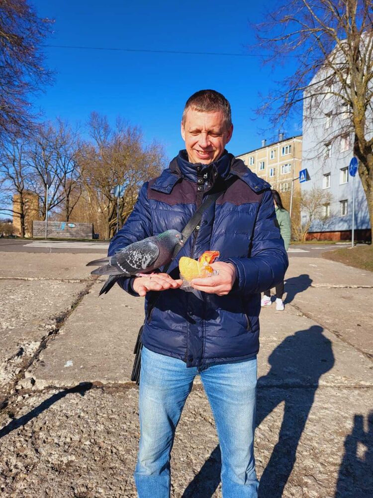  26493198  Volshebnikof, 49 ,    
