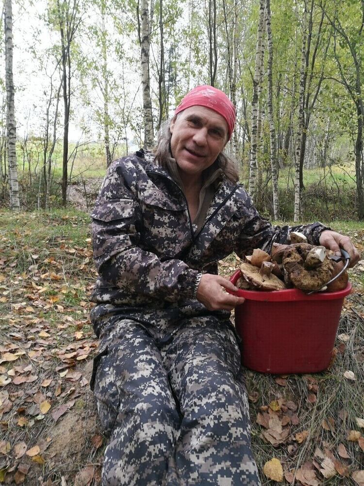  20624348  , 62 ,    