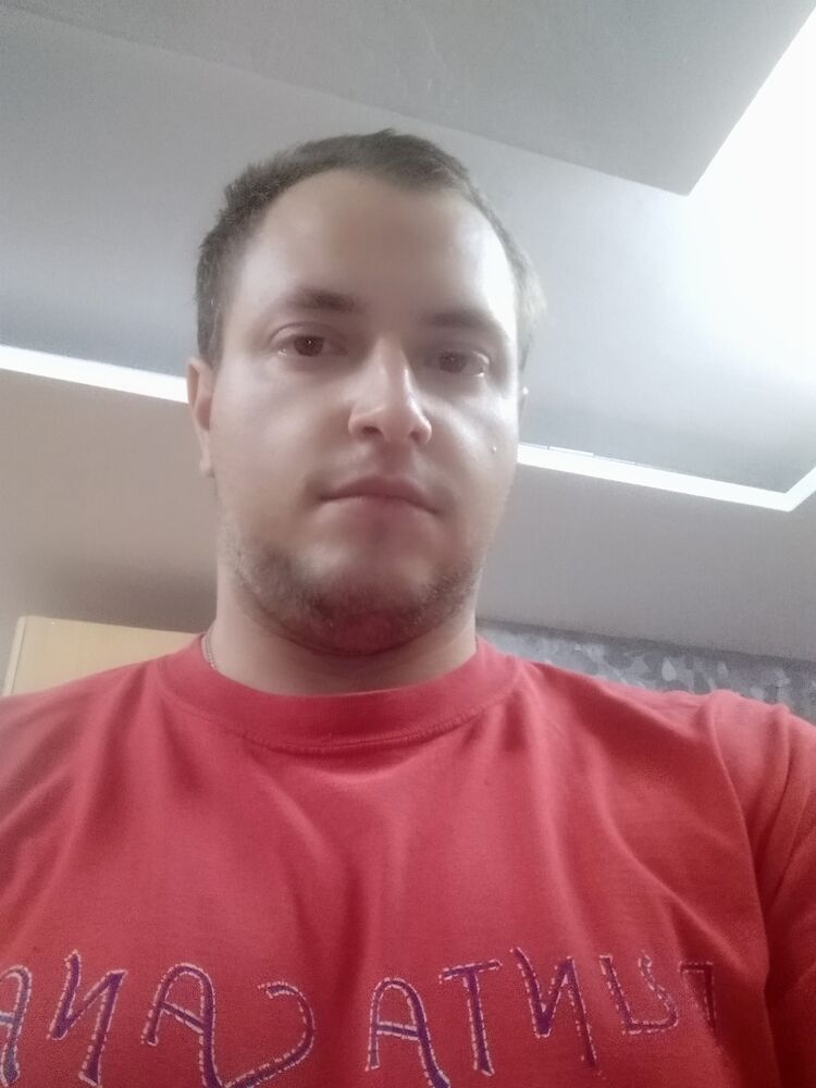  28304288  , 29 ,    