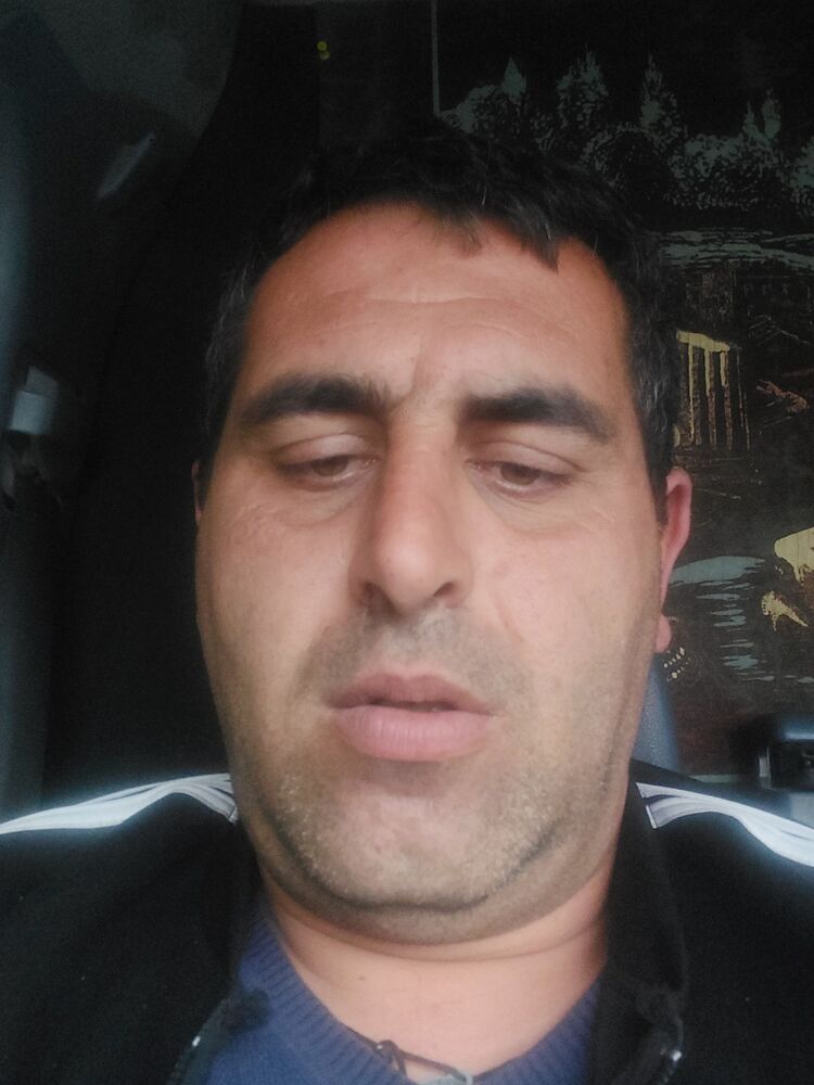  33810858  Lev, 41 ,     