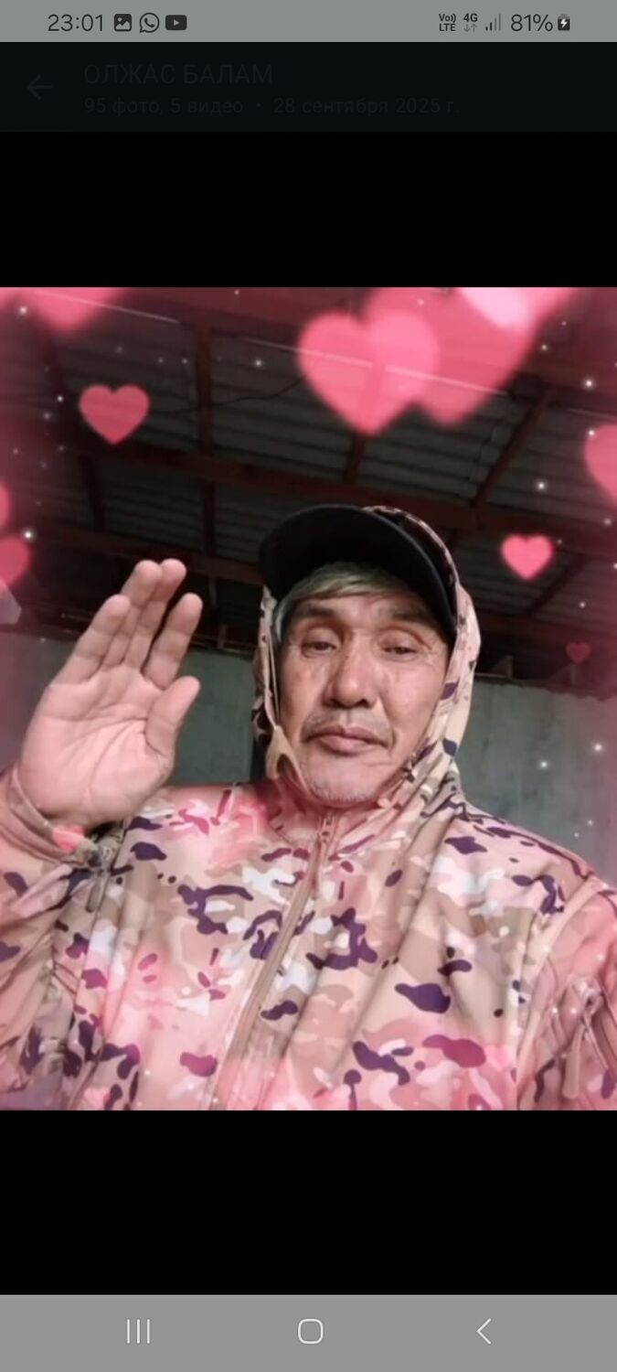 ���������� �����, ���� ������� �������, 66 ���, ������������ ��� ������, ����� � ���������