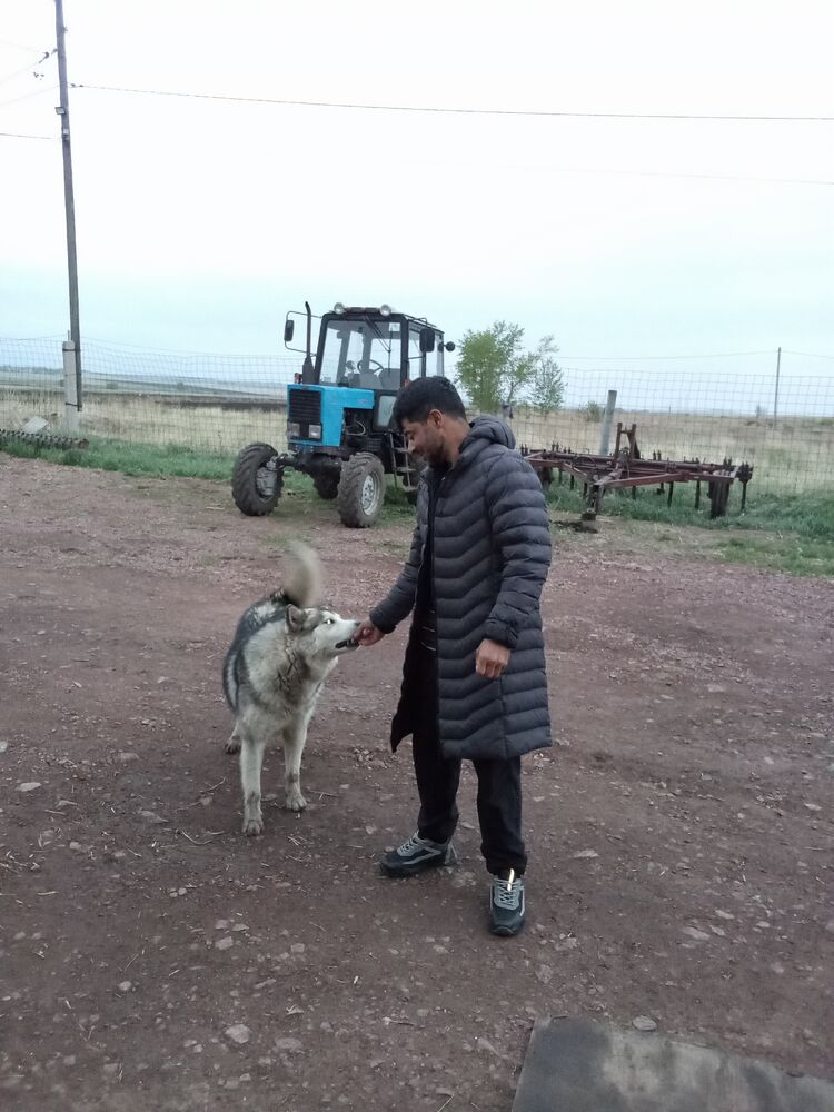  47840798  Jamshid, 26 ,    