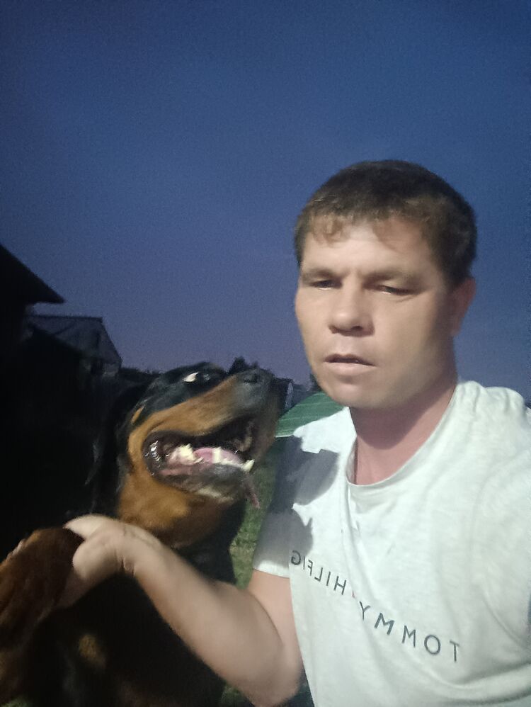  49549318  , 40 ,    