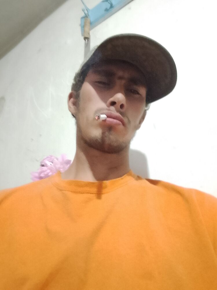  44148378  , 26 ,    