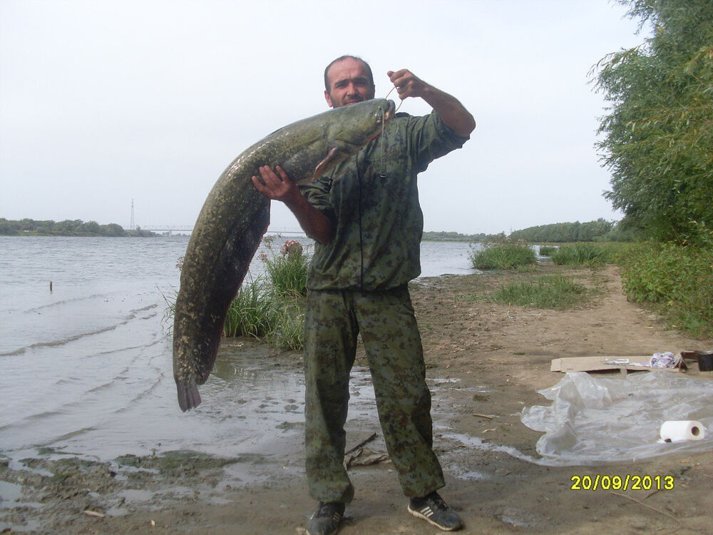 ���������� ������, ���� ������� ��������, 45 ���, ������������ ��� ������, ����� � ���������, c�������� ���������