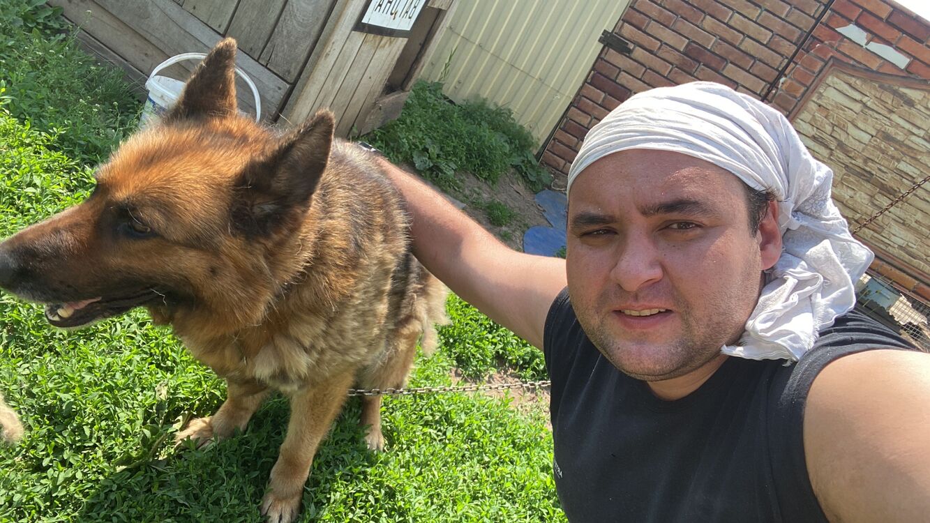 ���������� ��������, ���� ������� �����, 36 ���, ������������ ��� ������, ����� � ���������, c�������� ���������, ���������