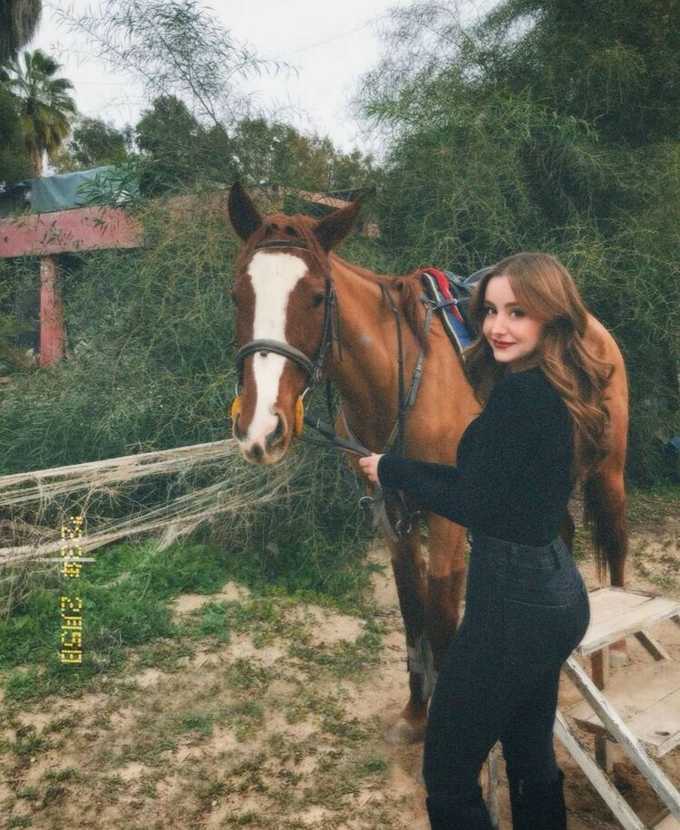 ���������� ������, ���� ������� �������, 26 ���, ������������ ��� ������, ����� � ���������