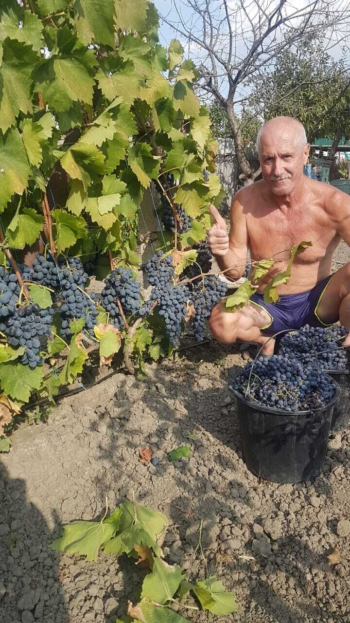  --,   , 59 ,   ,   