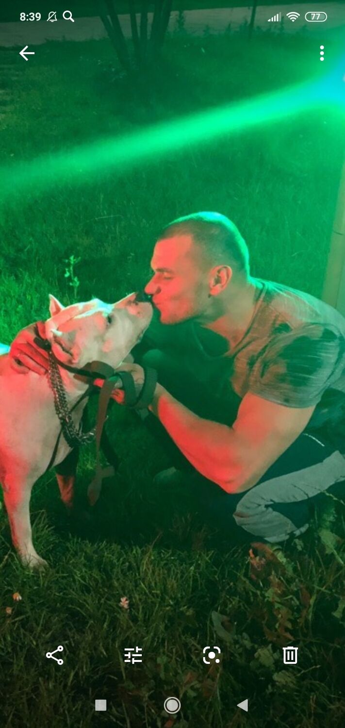 ���� 24972768 ������� �����, 34 ����, ���� ���������� � �����������