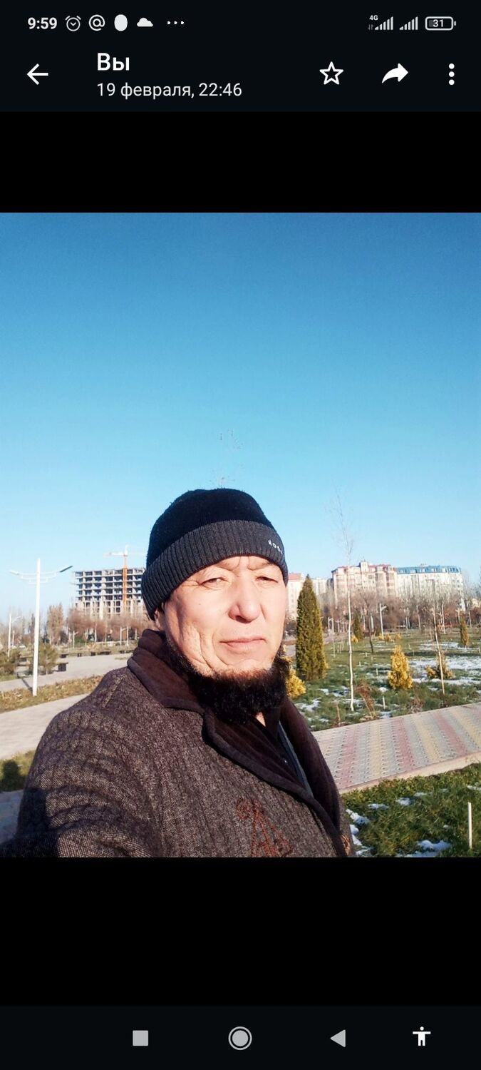  33005578  , 57 ,    -