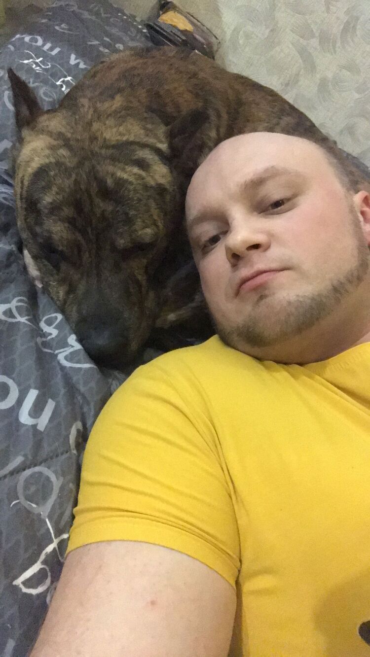 ���������� ��������, ���� ������� ����, 36 ���, ������������ ��� ������, ����� � ���������