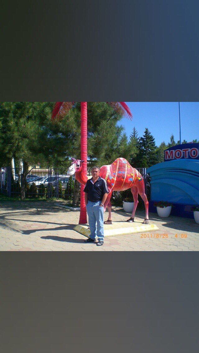 ���� 35382378 ������� ������, 53 ����, ���� ���������� � �������������