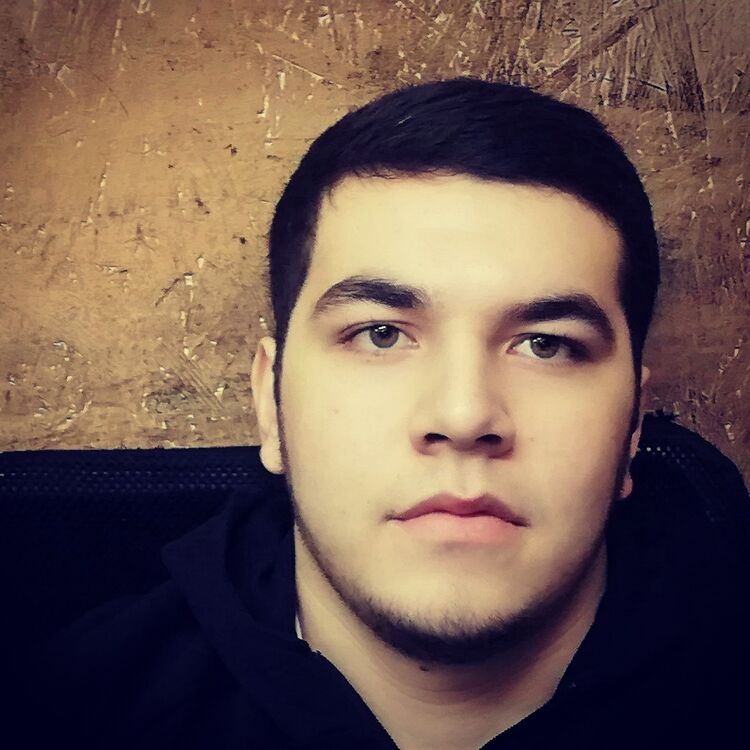  17586508  Black tiger, 29 ,    