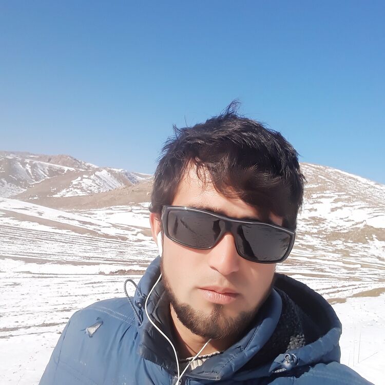 ���� 41643008 ������� ����, 27 ���, ���� ���������� � �������������