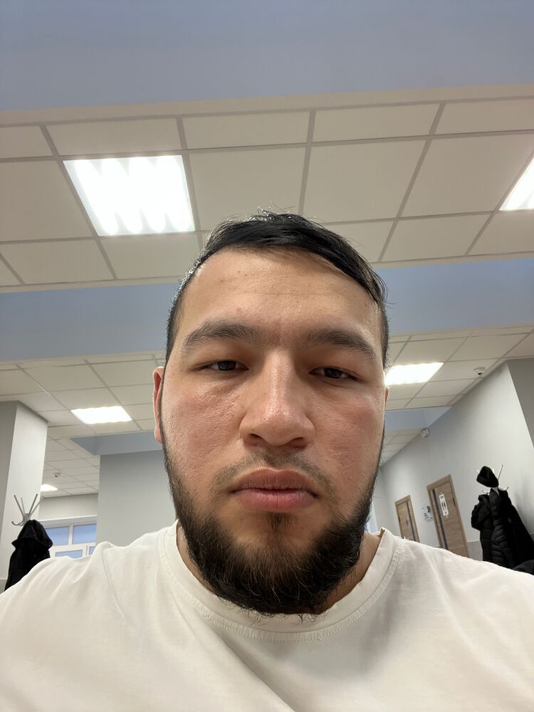  41253538  , 33 ,    