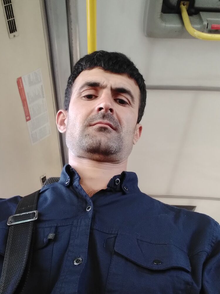  23683998  , 31 ,    