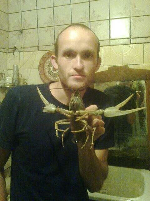 ���� 43032918 ������� �������, 36 ���, ���� ���������� � ����