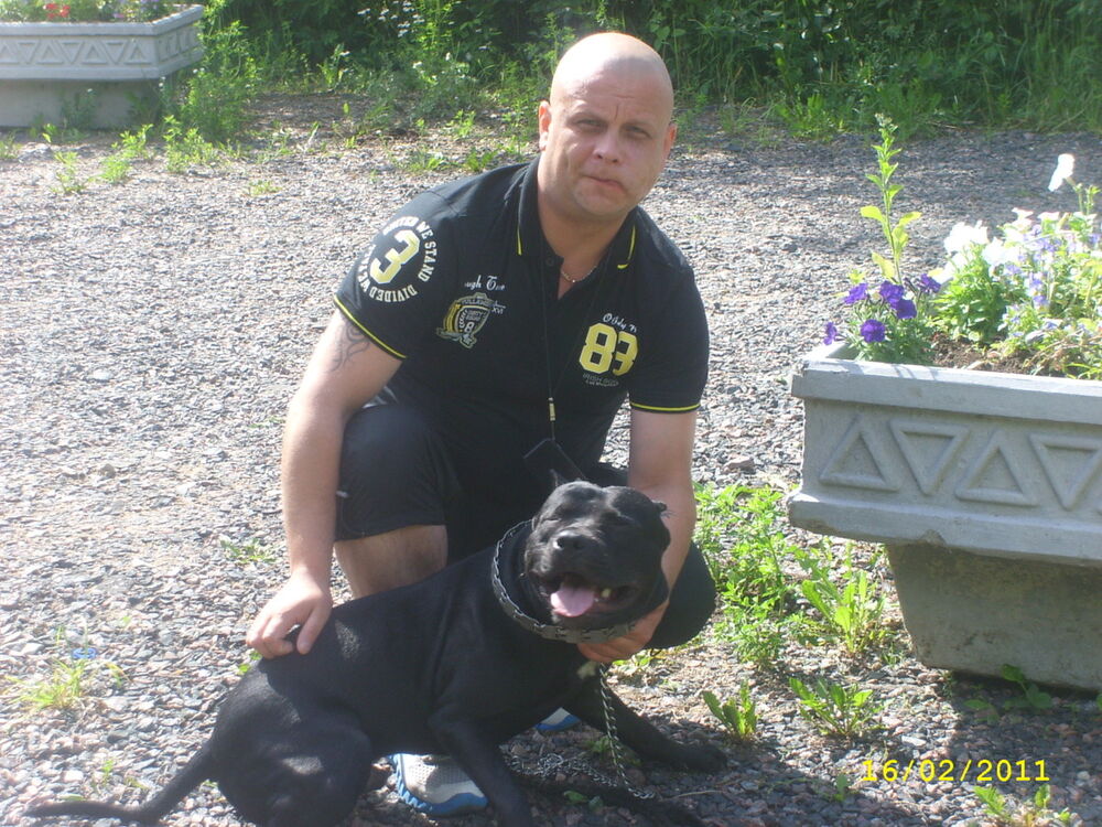 ���������� �����-���������, ���� ������� �������, 52 ����, ������������ ��� ������