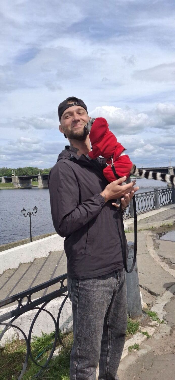 ���� 52951748 ������� ���������, 36 ���, ���� ���������� � ������