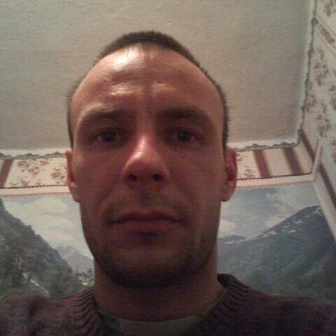  8813778  , 41 ,    