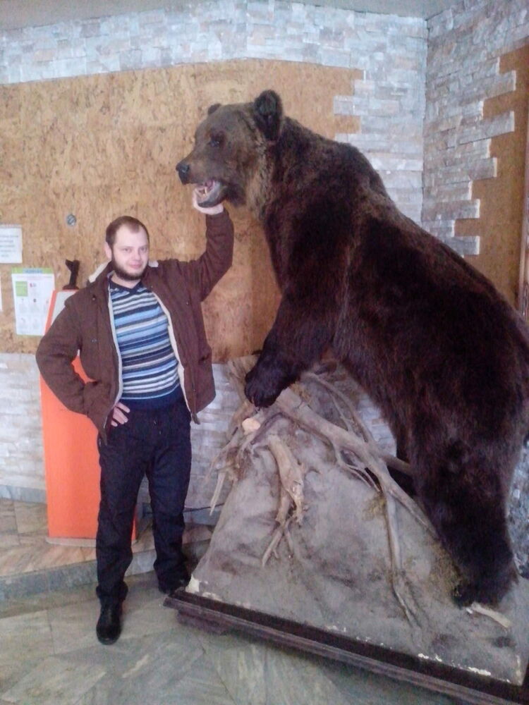 ���������� ������-��-����, ���� ������� �������, 36 ���, ������������ ��� ������, ����� � ���������, c�������� ���������