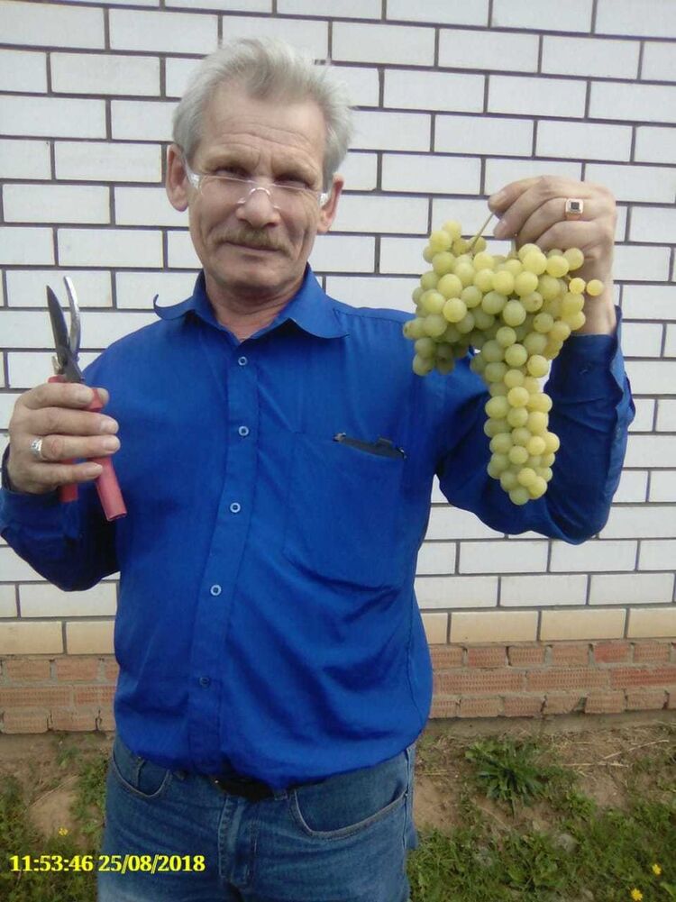  ,   , 61 ,  