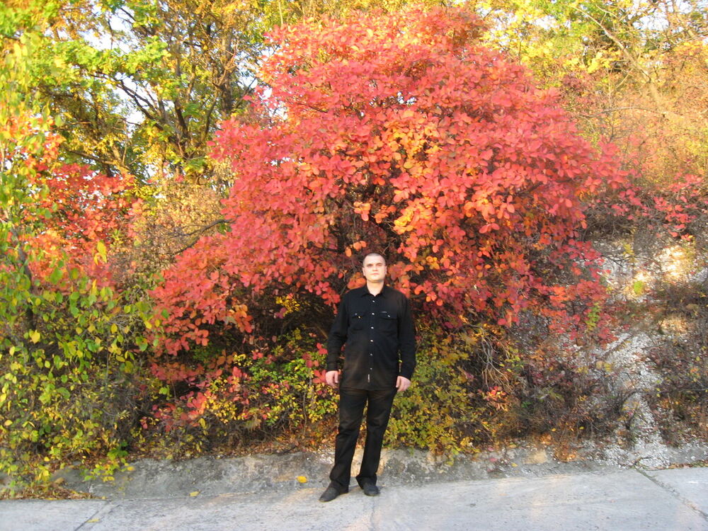 ���������� ������, ���� ������� ��������, 45 ���, ������������ 