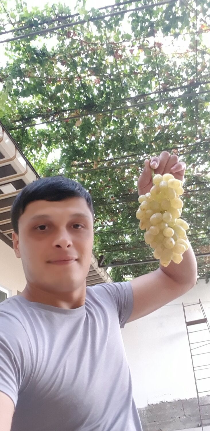 ���������� �����-���������, ���� ������� �����, 33 ����, ������������ ��� ������, ����� � ���������