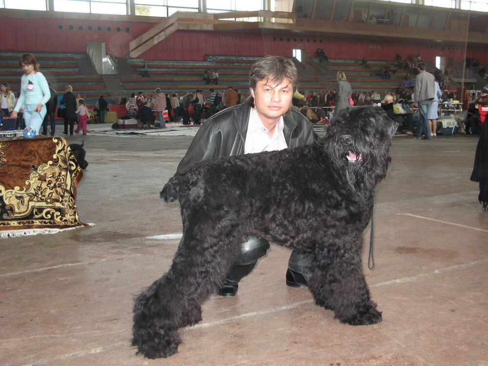  6327988  Tibor, 46 ,    