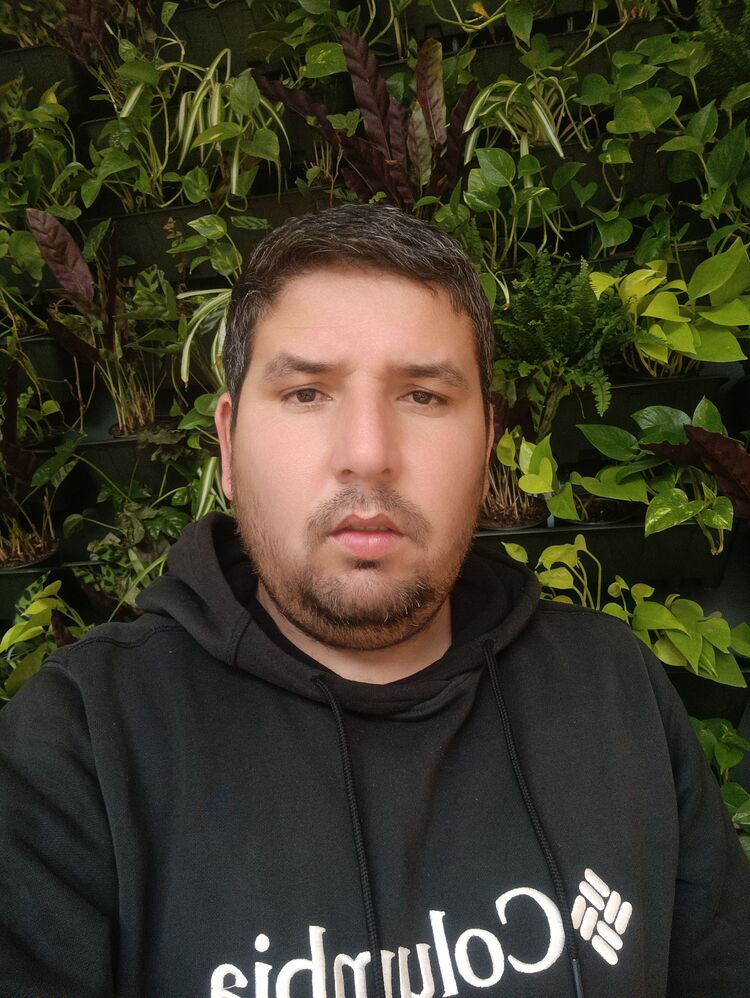 ���������� ������, ���� ������� ����, 38 ���, ������������ ��� ������, ����� � ���������