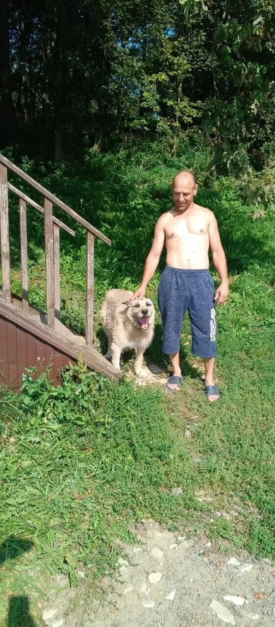 ���� 55173268 ������� ���������, 41 ���, ���� ���������� � �������������